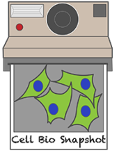 Cell Bio Snapshot logo: a polaroid camera printing out green and blue cells